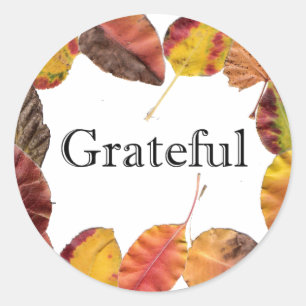 Autumn Leaves Surround Grateful Typography Classic Round Sticker