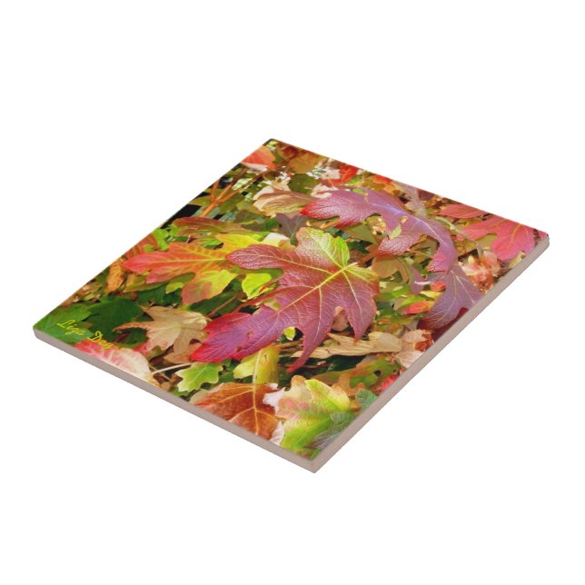 'Autumn Leaves' Tile/Trivet Ceramic Tile (Side)