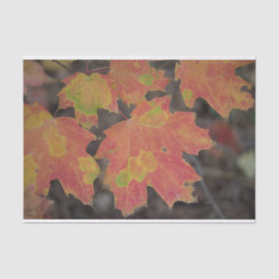Autumn Leaves Tissue Paper