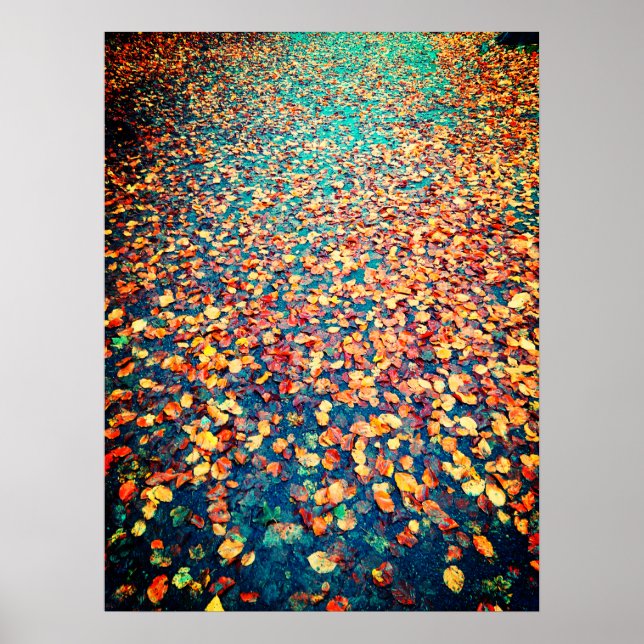 Autumn Leaves Wet Forest Path Poster (Front)