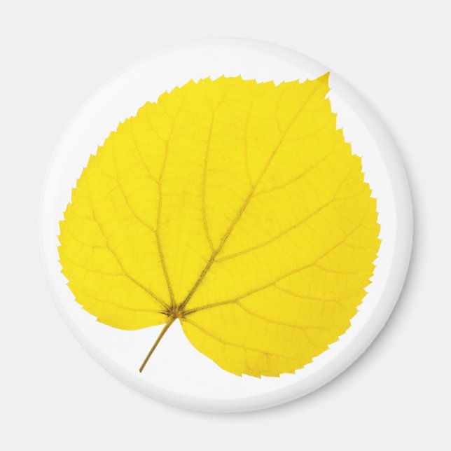 Autumn linden leaf magnet (Front)