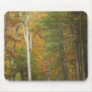 "Autumn Magic" Mouse Pad