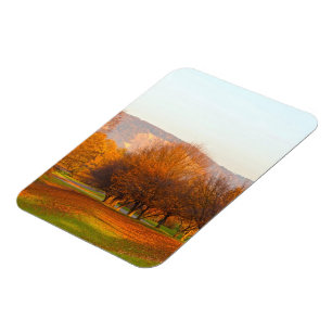 Autumn Magnet