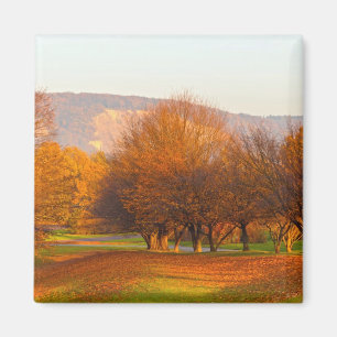 Autumn Magnet