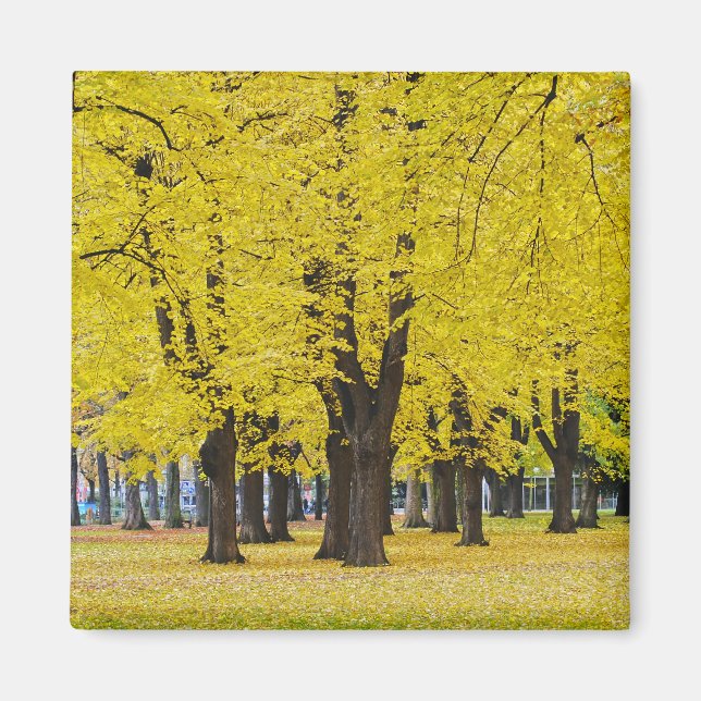 Autumn Magnet (Front)