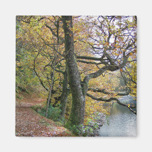AUTUMN MAGNET