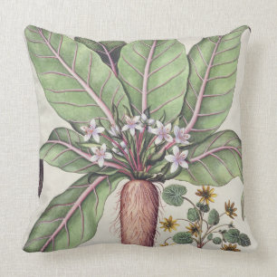 Autumn Mandrake, from the 'Hortus Eystettensis' by Cushion