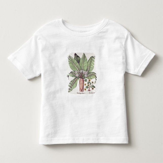 Autumn Mandrake, from the 'Hortus Eystettensis' by Toddler T-Shirt (Front)