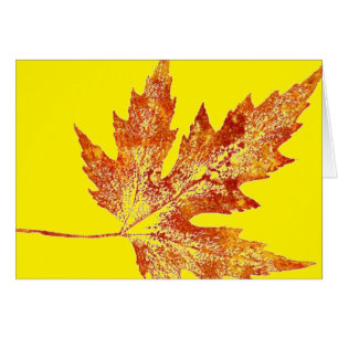 "Autumn Maple #1 On Yellow" Country Greeting Card