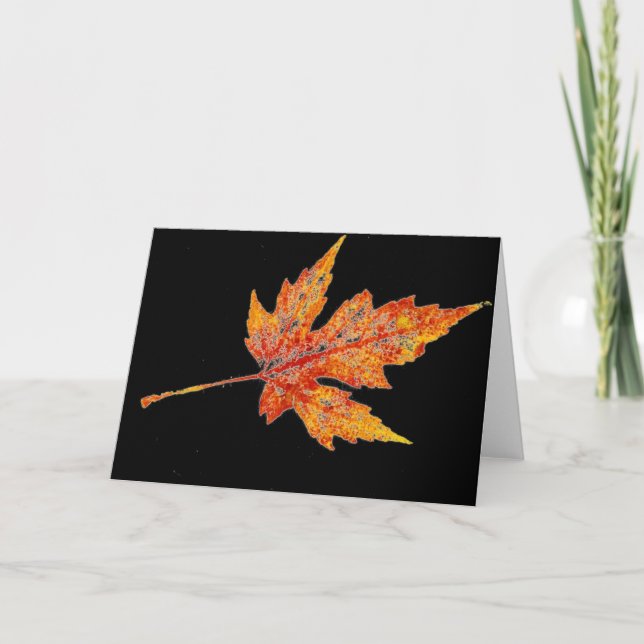 "Autumn Maple #2 on Black" Country Greeting Card (Front)