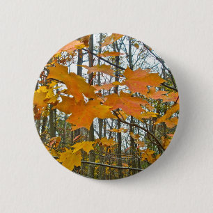 Autumn Maple Foliage 6 Cm Round Badge