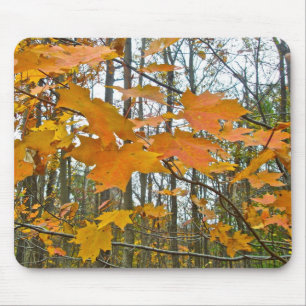 Autumn Maple Foliage Mouse Pad
