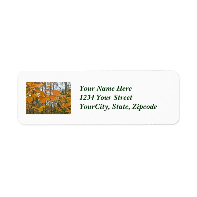 Autumn Maple Foliage Return Address Label (Front)