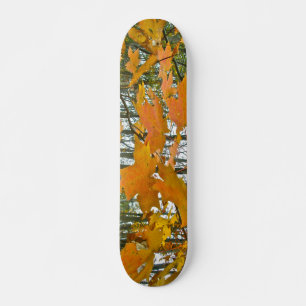 Autumn Maple Foliage Skateboard