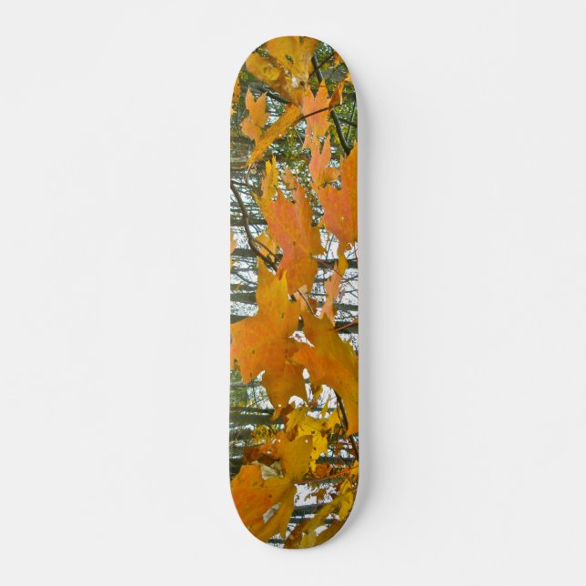 Autumn Maple Foliage Skateboard (Front)