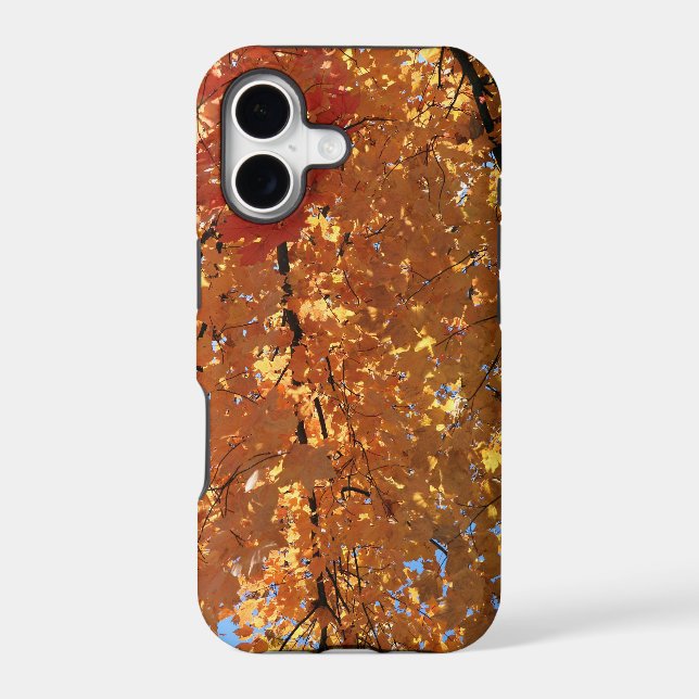 Autumn Maple Leaves                                (Back)