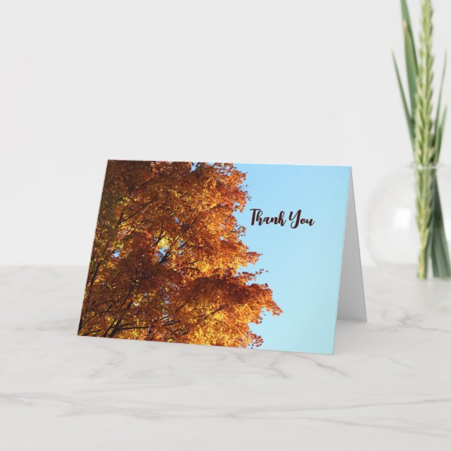 Autumn Maple Leaves Card (Front)
