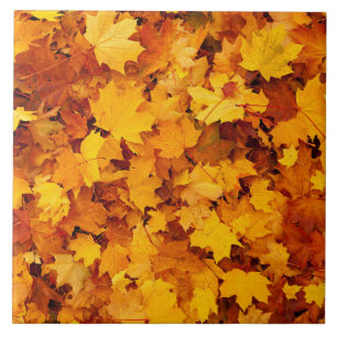 Autumn Maple Leaves Ceramic Tile