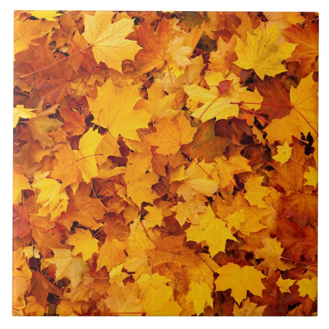 Autumn Maple Leaves Ceramic Tile (Front)