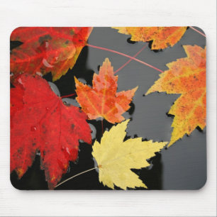 Autumn Maple Leaves colours red  pond Mousepad