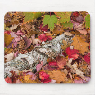 Autumn Maple Leaves Cover Birch Bark On Forest Mouse Pad
