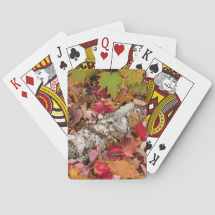 Autumn Maple Leaves Cover Birch Bark On Forest Playing Cards