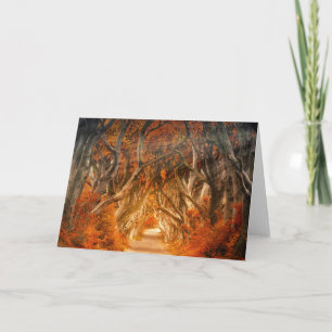 Autumn maple tree forest fall woods leaves card