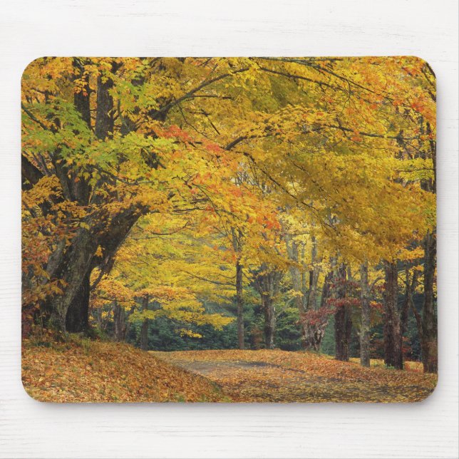 Autumn maple tree overhanging country lane, mouse pad (Front)