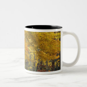 Autumn maple tree overhanging country lane, Two-Tone coffee mug