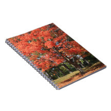 Autumn Maple Tree Spiral Notebook