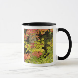 Autumn maple trees and birch tree, White Mug