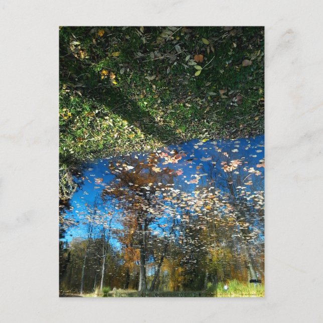 Autumn Miroir or Mirror Postcard (Front)