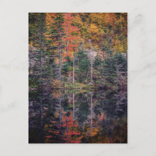 Autumn Mirror Postcard