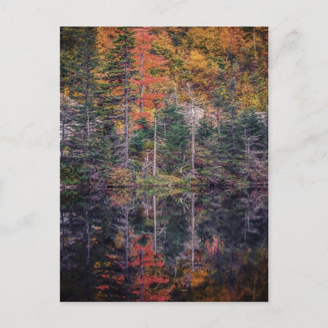 Autumn Mirror Postcard (Front)