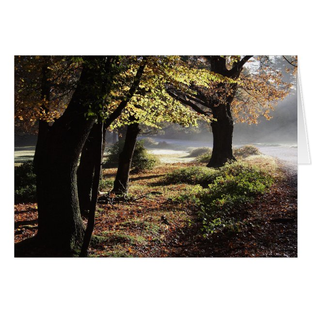 Autumn mist card (Front Horizontal)