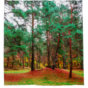 Autumn mixed forest shower curtain