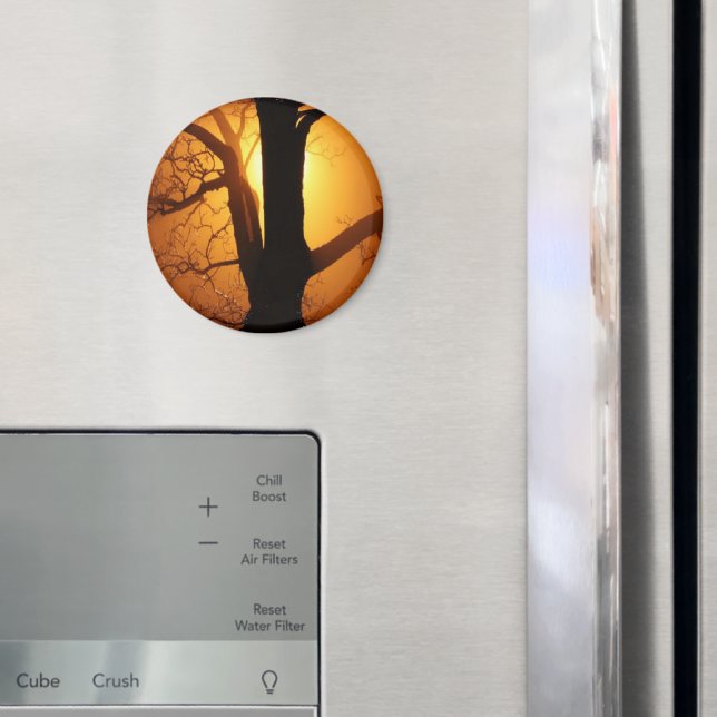 Autumn Moon Shining Through the Tree Magnet (In Situ (Fridge))