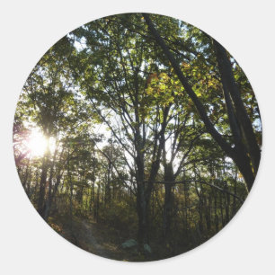 Autumn Morning at Shenandoah National Park Classic Round Sticker