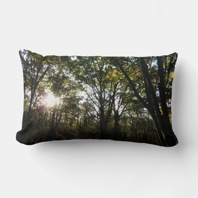 Autumn Morning at Shenandoah National Park Lumbar Cushion (Front)