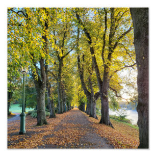 Autumn Morning Photo Print