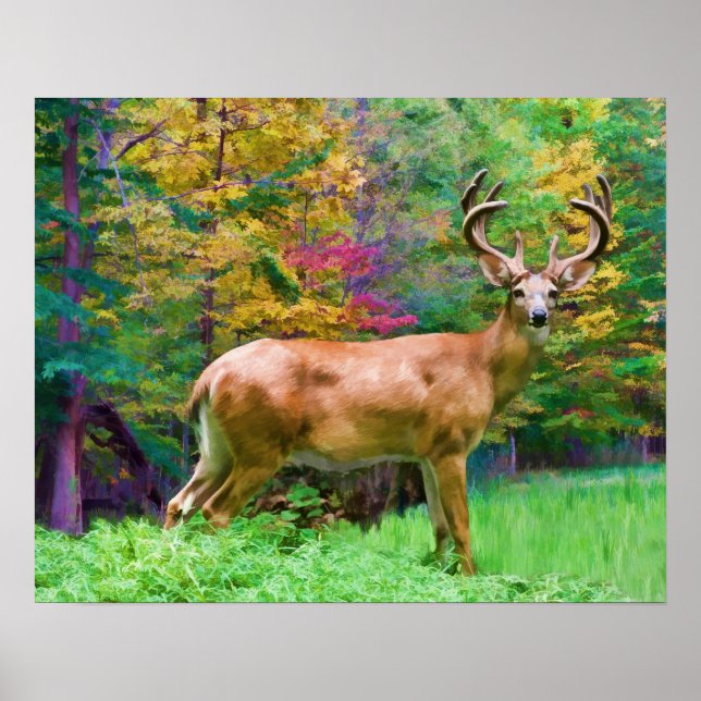 Autumn Morning Print (Front)