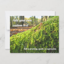Autumn Moss in Golden Sunshine - Personalized