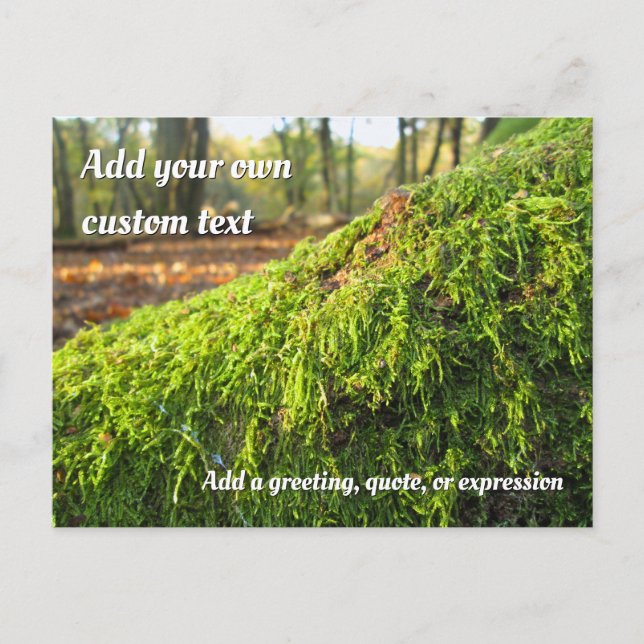 Autumn Moss in Golden Sunshine - Personalized Postcard (Front)