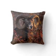 Autumn Mouflon Ram Original Wildlife Photography