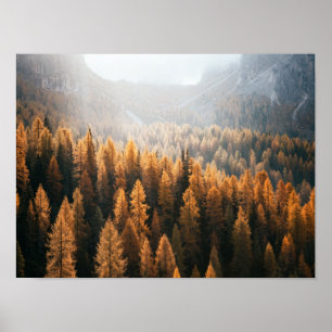 Autumn Mountain View With Yellow Larches Poster