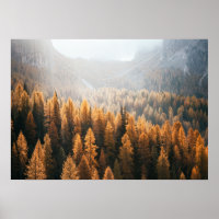 Autumn Mountain View With Yellow Larches 