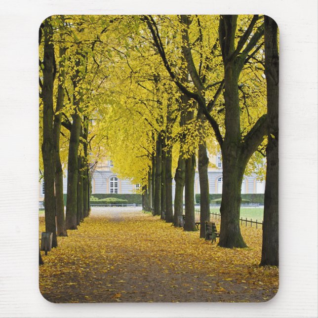 Autumn Mousepad (Front)