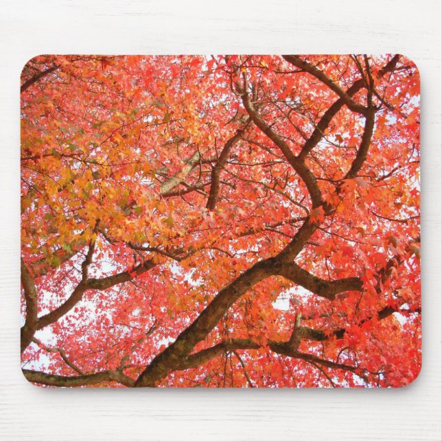 Autumn Mousepad Beautiful Autumn Landscape Gifts (Front)