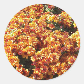 Autumn Mums Classic Round Sticker