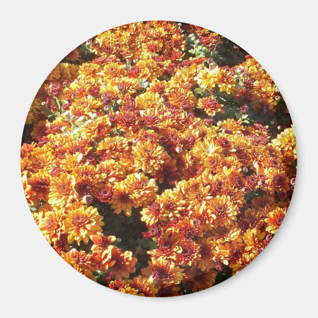 Autumn Mums Magnet (Front)
